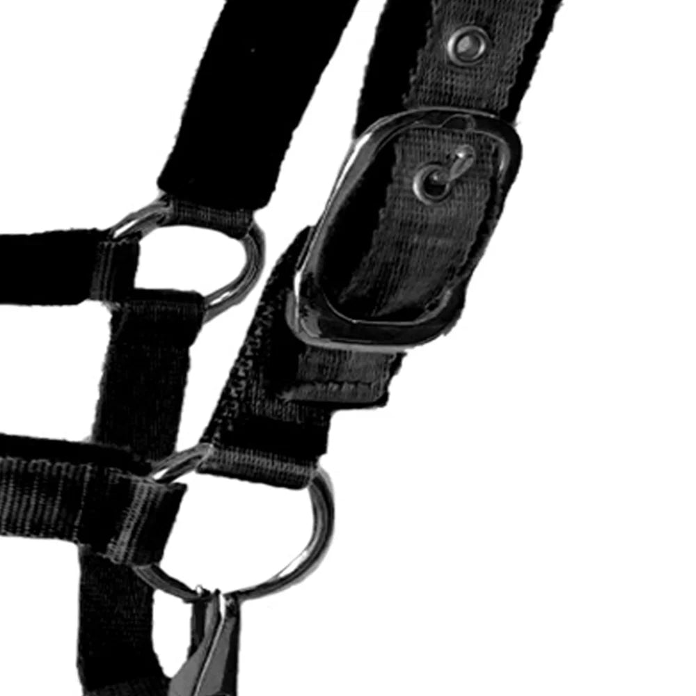 Horse Halter Soft Fleece Padded Adjustable - ProPawPet.com
