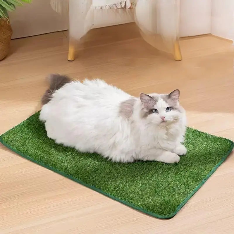 Simulation Lawn Dog Toilet Training Mat - ProPawPet.com