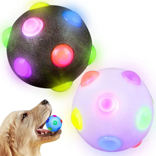 New Cat Dog Toys LED Light Emitting Bouncy - ProPawPet.com