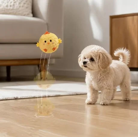 2/3pcs Pet Cat and Small Dogs Interactive - ProPawPet.com