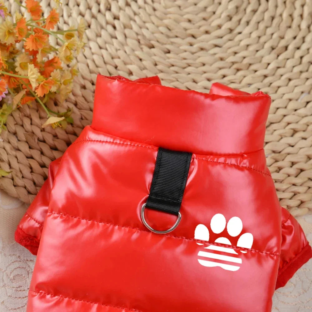 Dog Clothes for Small Dogs Puppy Jacket - ProPawPet.com