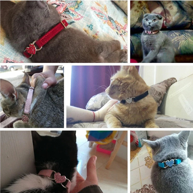 Heart Charm and Bell Cat Collar Safety - ProPawPet.com