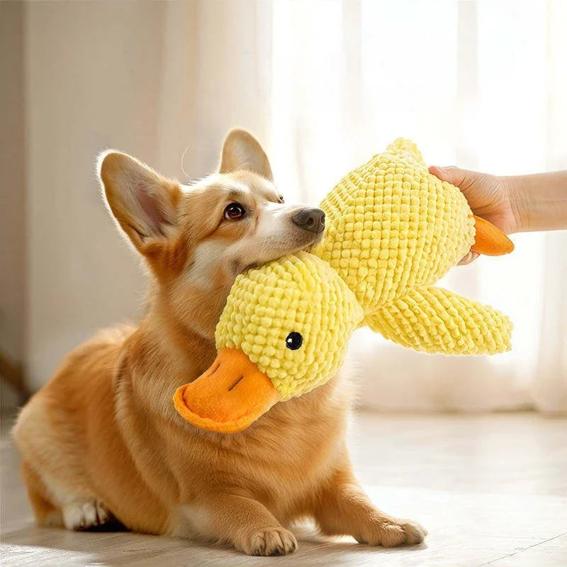 Plush Duck Dog Toy Bite Resistant Squeaky - ProPawPet.com