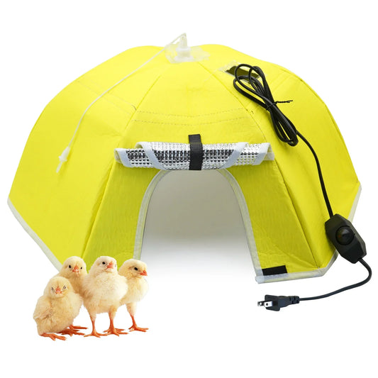 Electric Chick Brooder Heating Cover Chick - ProPawPet.com