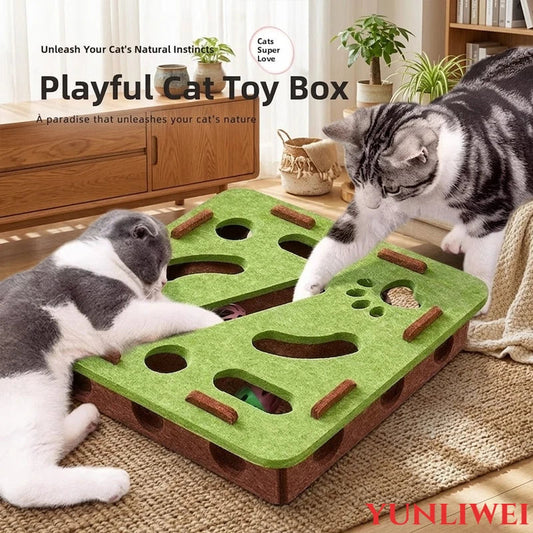 Pet Cat Puzzle Toy Maze Box Interactive - ProPawPet.com