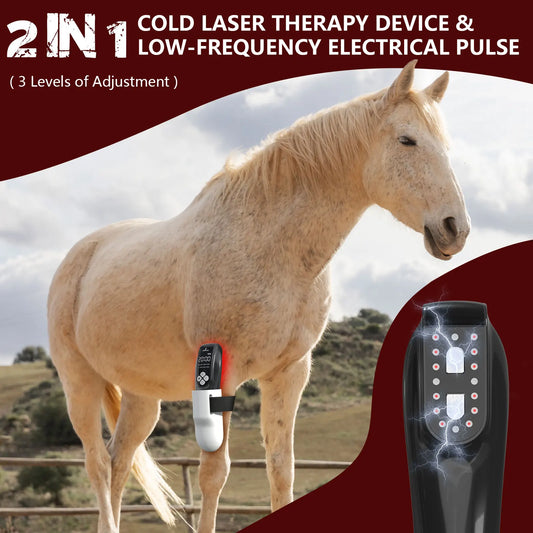 4x808nm Laser Therapy Device for Horse Pets - ProPawPet.com