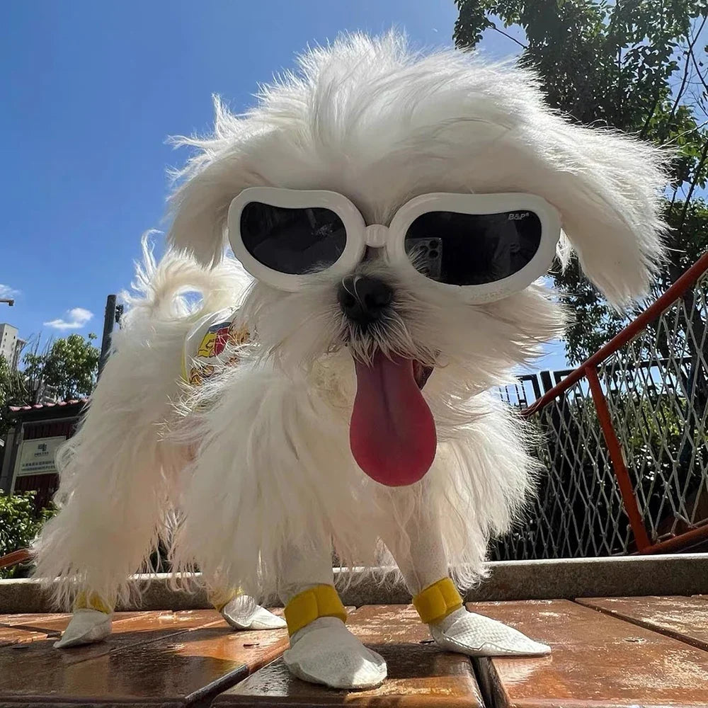 Retro Puppy Dog Pilot Goggles for Small Dogs - ProPawPet.com
