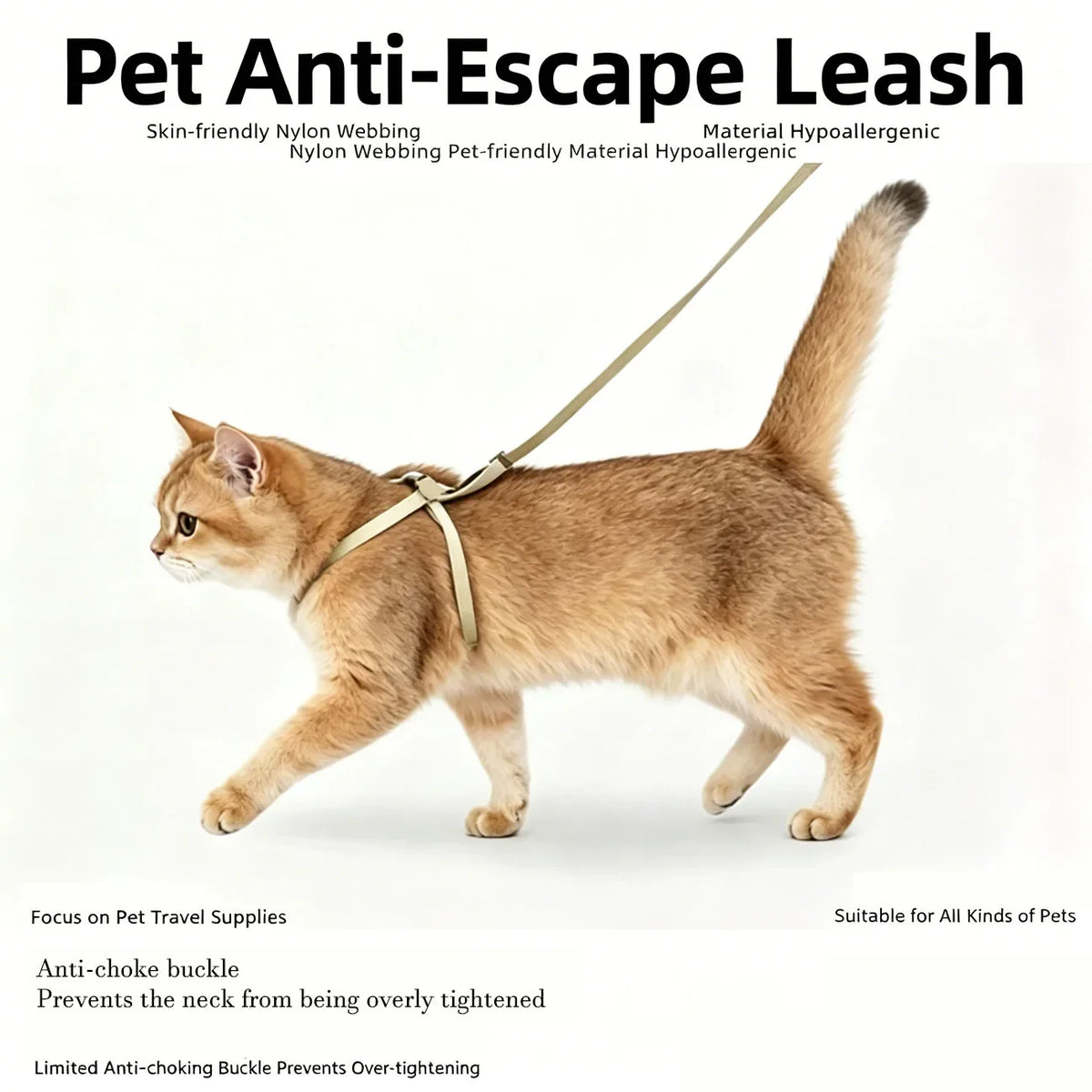 Cat Puppy Outdoor Walking Supplies Fashion - ProPawPet.com