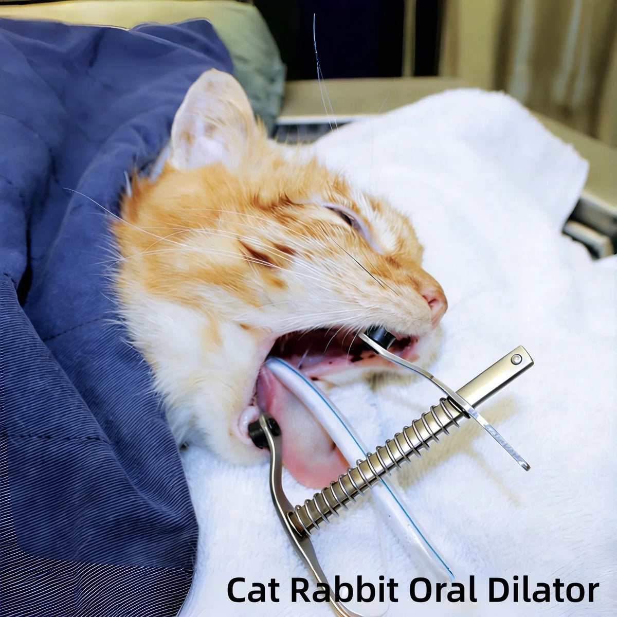 Small Animal Mouth Opener, Cat Rabbit Dental - ProPawPet.com