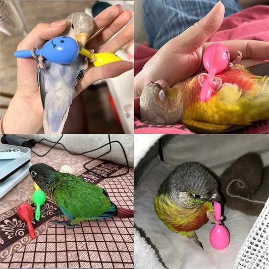 Cute Parrot Rattle Sand Hammer Sand Ball - ProPawPet.com