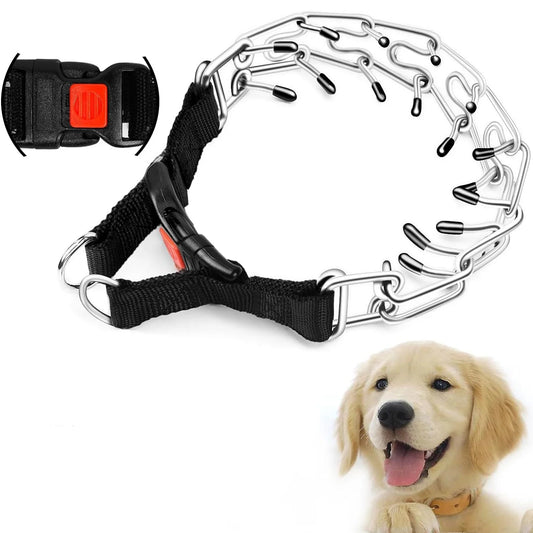 Dog Prong Collar