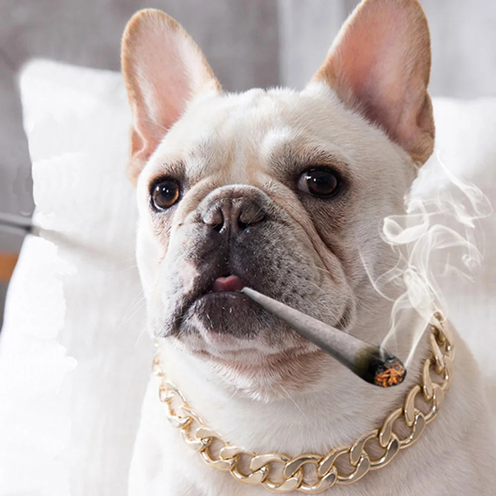 Luxury Dog Collar Gold Pet Necklace Dog - ProPawPet.com