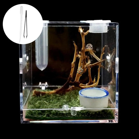 Small Reptiles Breeding Box Clear Acrylic - ProPawPet.com