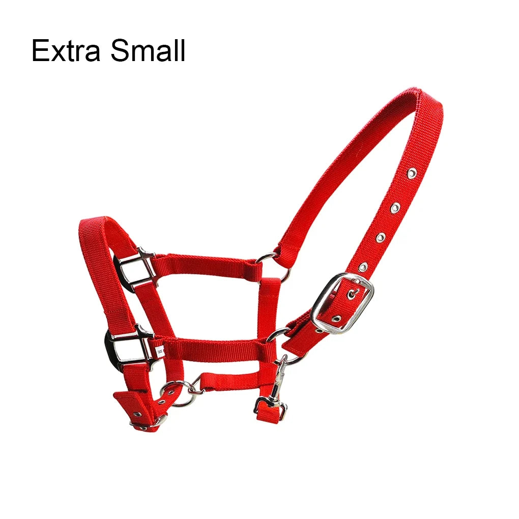 Padded Halter Pony Bridle Head Collar - ProPawPet.com