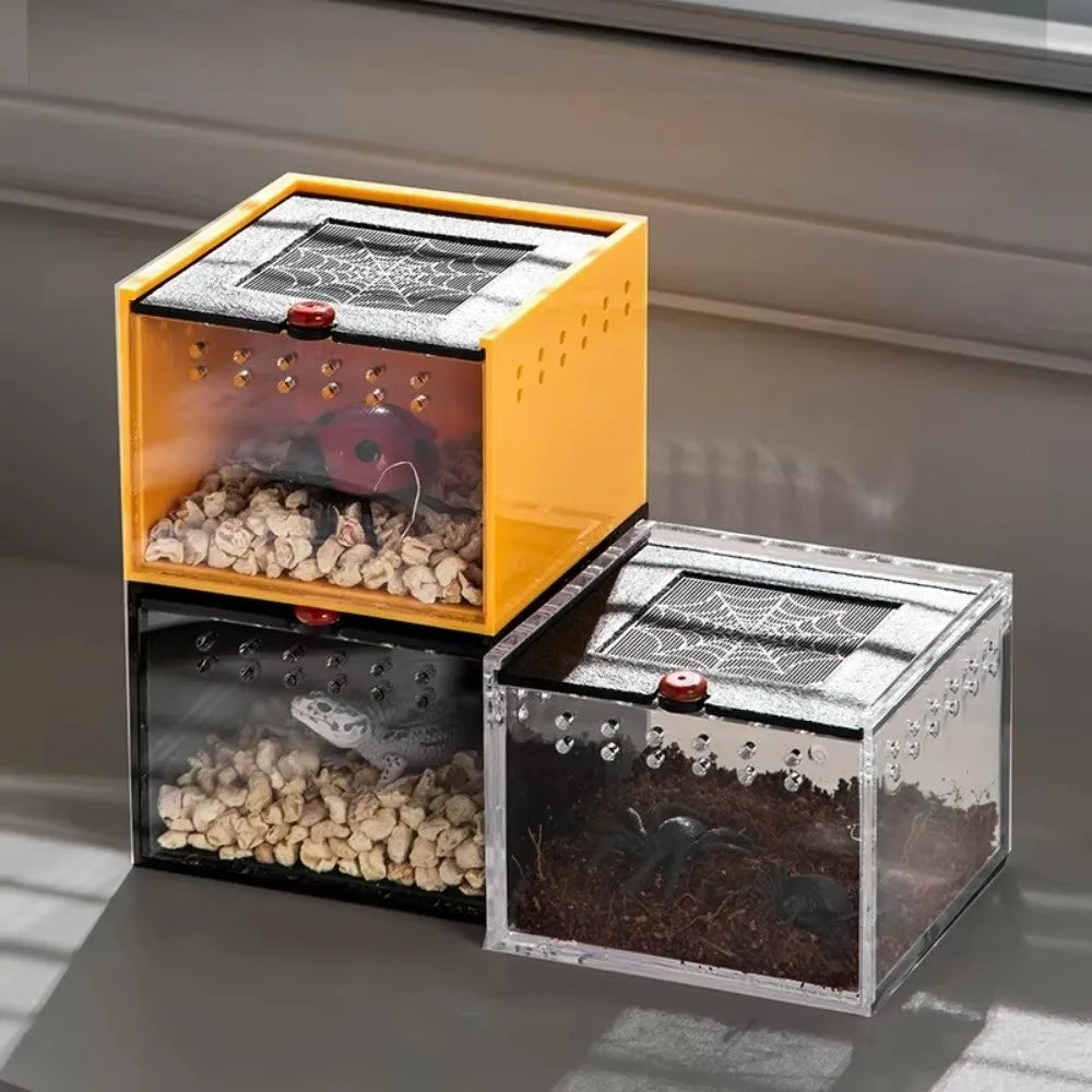 Black Reptile Keeping Box Acrylic - ProPawPet.com