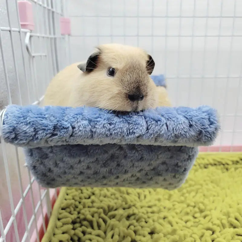 Pet Hammock for Small Animal Double Thick - ProPawPet.com
