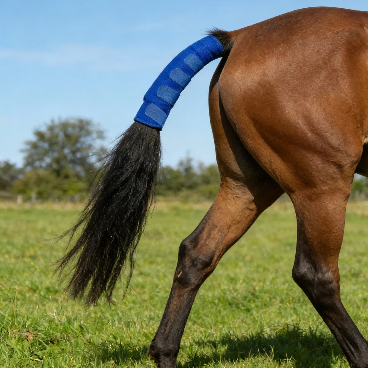 Ponytail Storage Bag Breathable Ponytail - ProPawPet.com