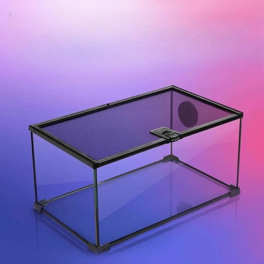 Rainforest Glass Terrarium for Reptiles Snake Tree
