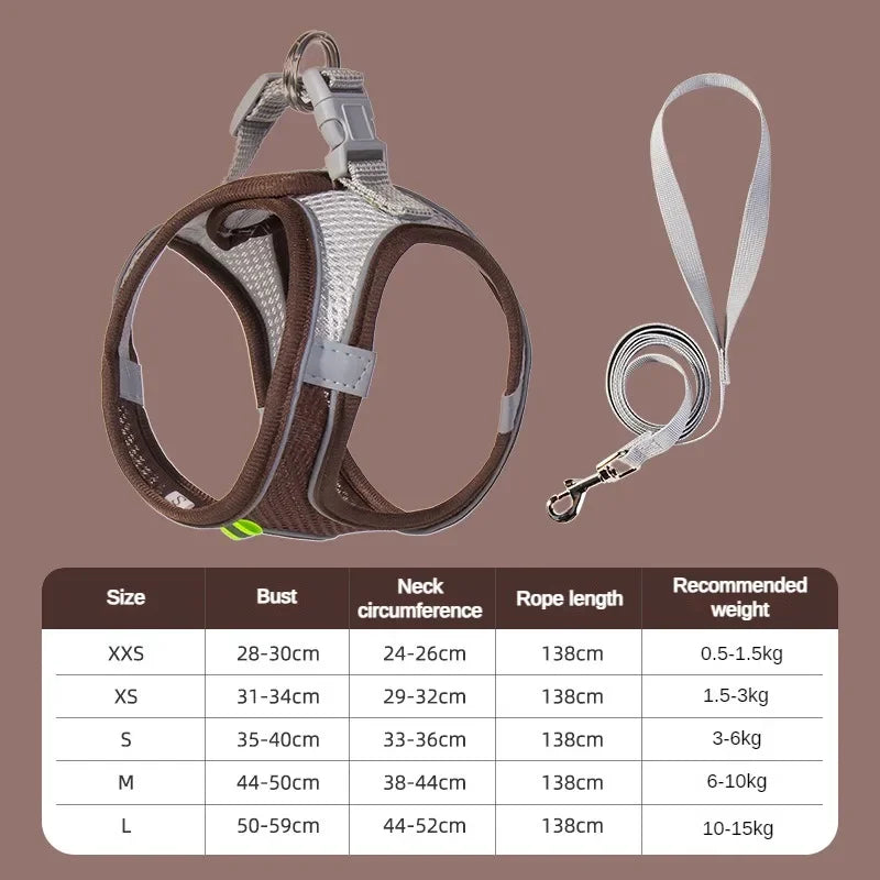 Cats Dog Accessories Small Dog Collar Safety - ProPawPet.com