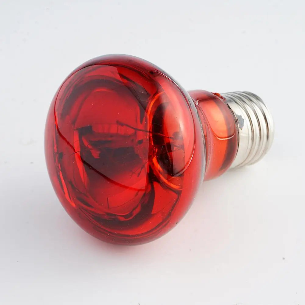 25W-100W E27 Pet Red Heating Lamp Day Night - ProPawPet.com