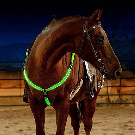 LED Horse Harness Nylon Night Visible Horse - ProPawPet.com