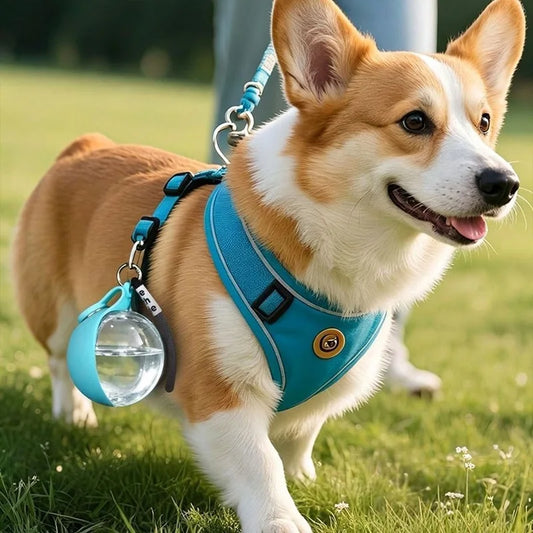 Plastic Dog Water Bottle 285ml Portable Dog - ProPawPet.com