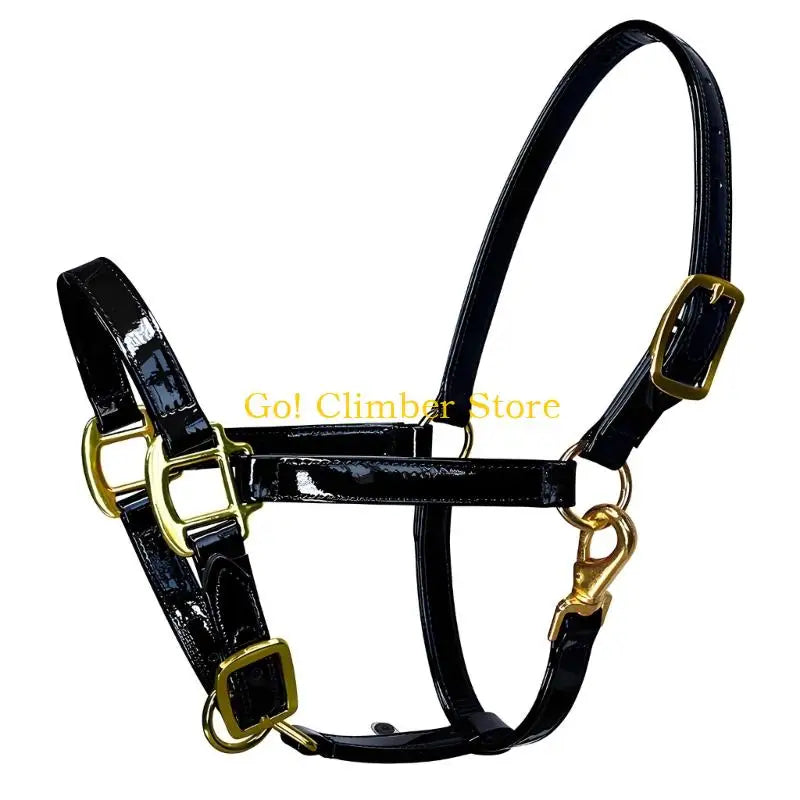 Q84C Quality Fashionable Leather Horse - ProPawPet.com