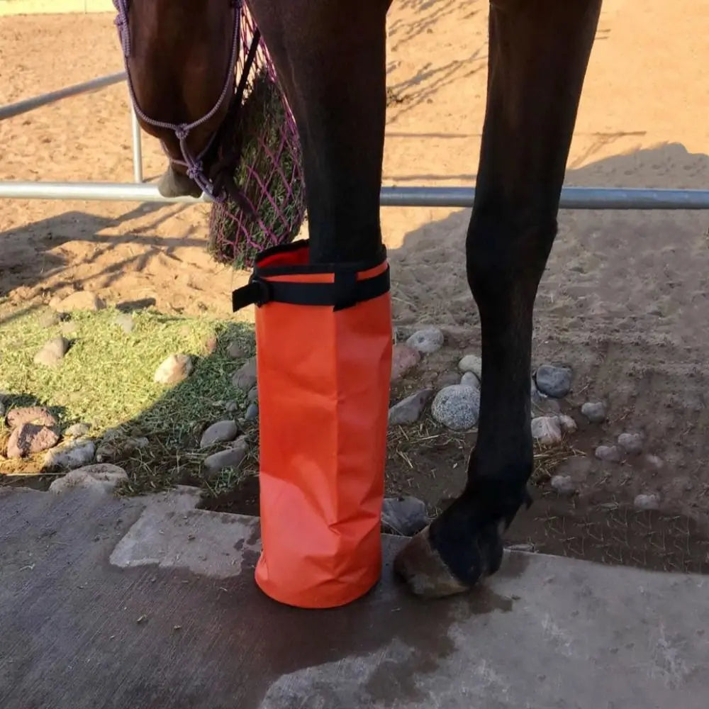 EVA Pad Hoof Soaking Boot Easy Use Design - ProPawPet.com
