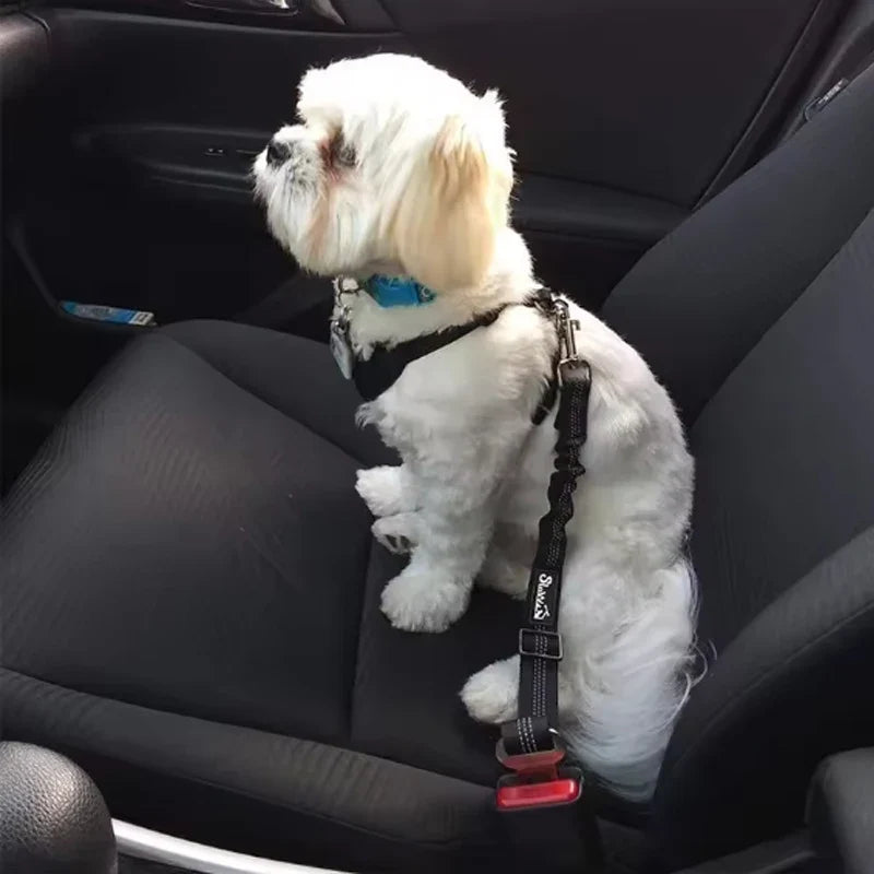 Dog Car Safety Belt with Damping, Reflective – photo 4