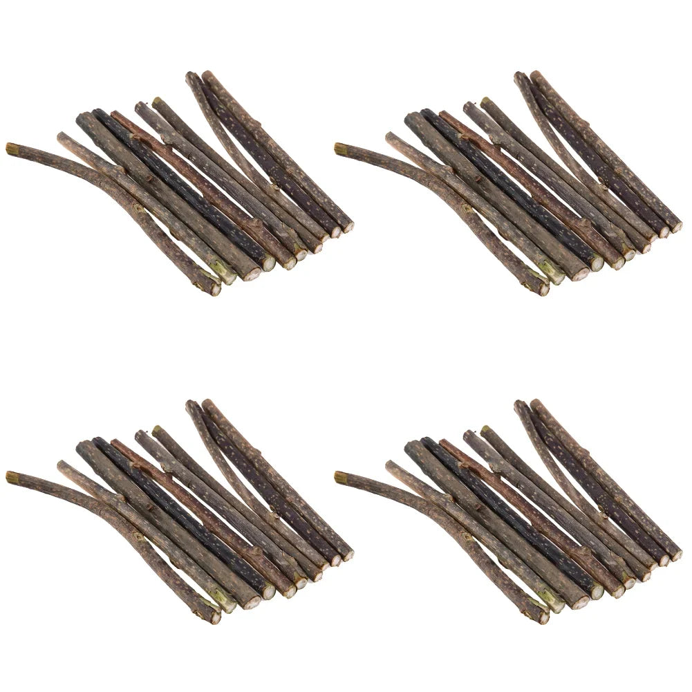 10- Natural Cat Catnip Toy Kitten Molar Chew Stick Pet – Cat Supplies