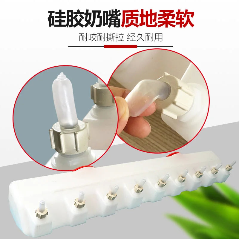 Animal-heatable feeding device, piglet - ProPawPet.com