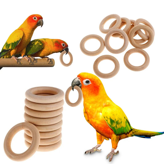 10Pcs Interactive Rattan Balls Parrot Toys - ProPawPet.com