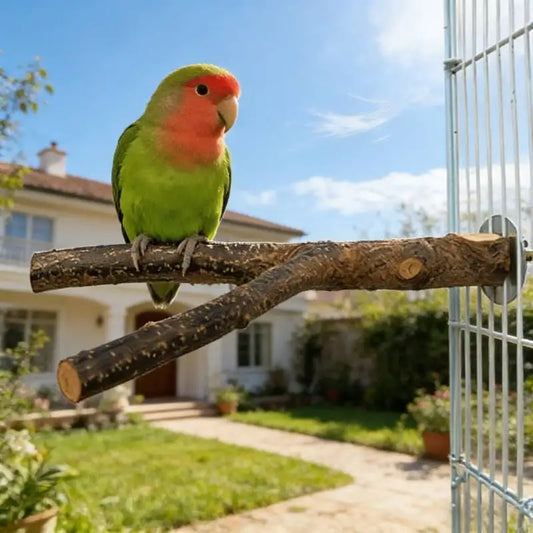 100% Natural Wood Bird Perch Forked Parrot - ProPawPet.com