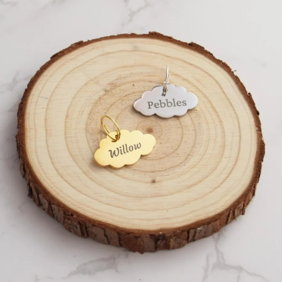 Cute Cloud Shaped Tiny Metal Pet ID Tag - - ProPawPet.com