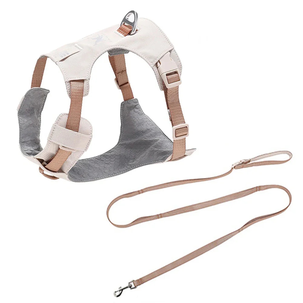 Lightweight Dog Harness & Leash Set - ProPawPet.com