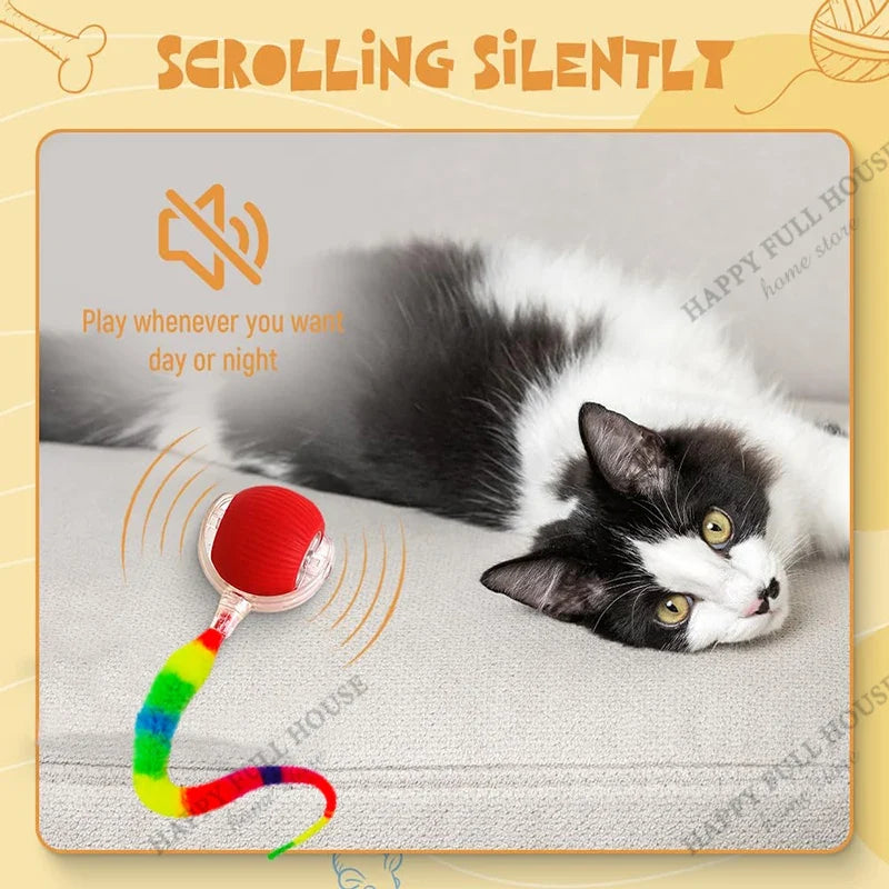 2 in 1 Cat Toy Interactive Ball for Indoor - ProPawPet.com