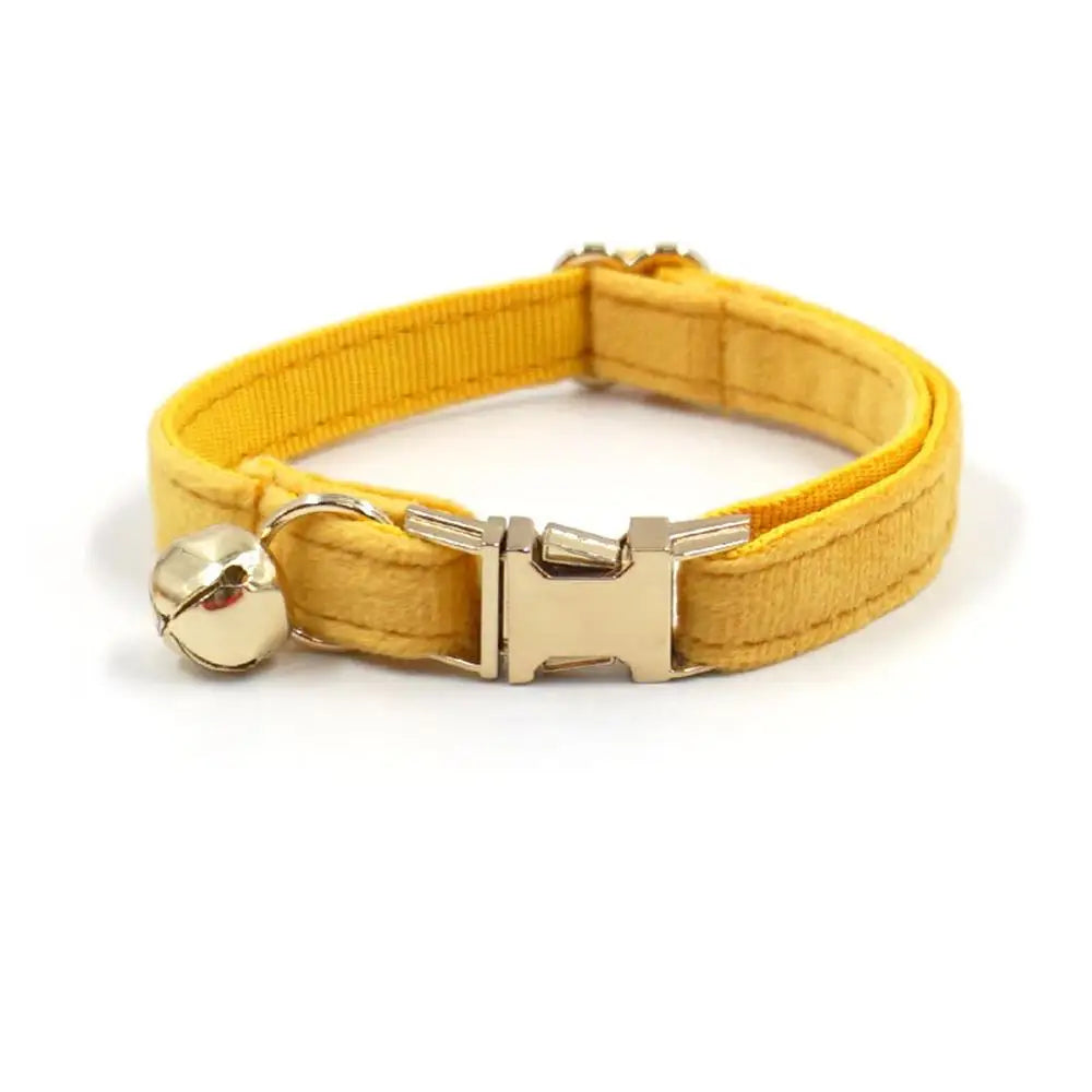 Free Engraving Customized Multicolor Soft - ProPawPet.com