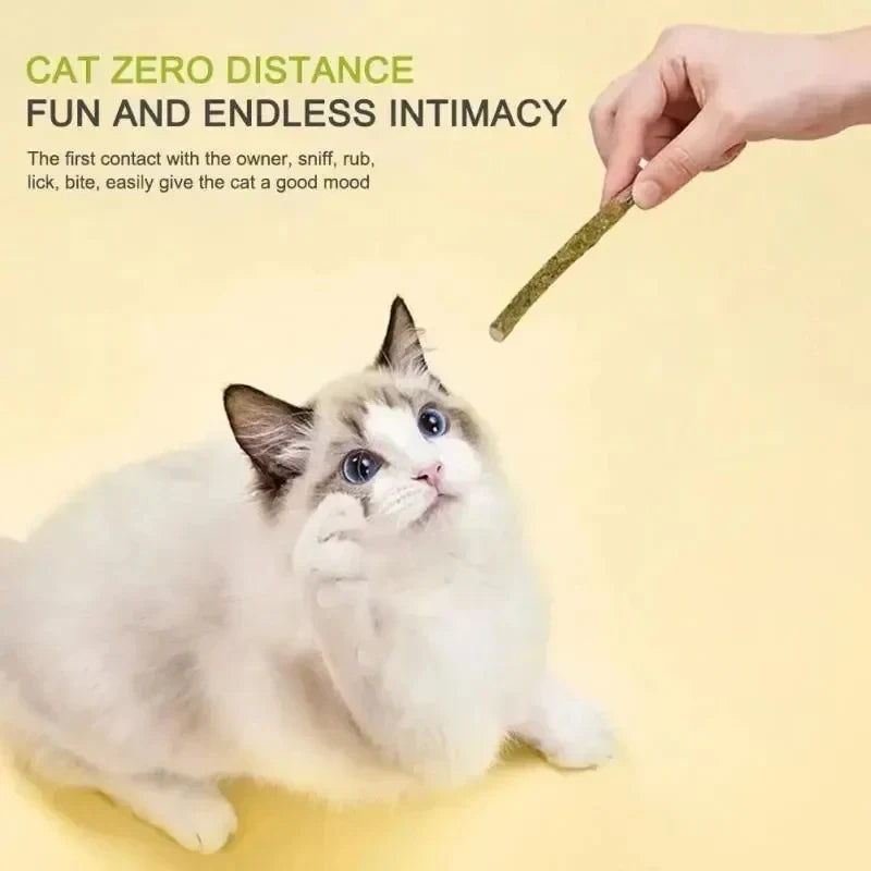 6-30pcs Natural Cat Stick Mint Caught Bite - ProPawPet.com