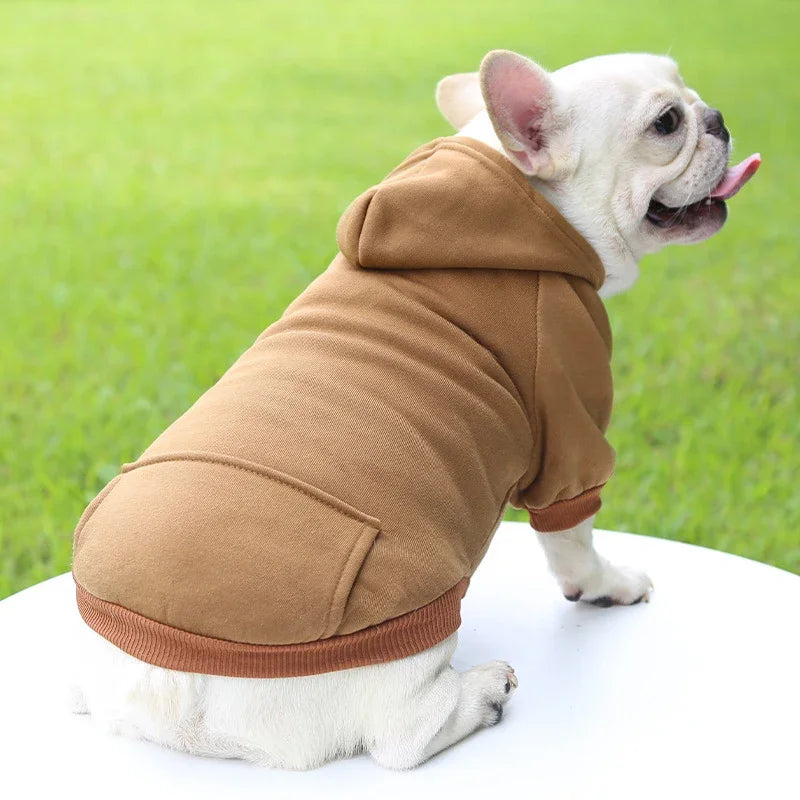 Fashion Dog Clothing Autumn And Winter Small - ProPawPet.com