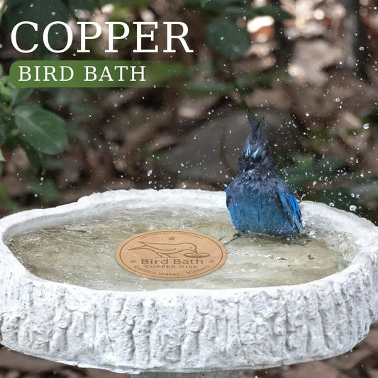 Pure Copper Bird Bath Purification Disc, - ProPawPet.com