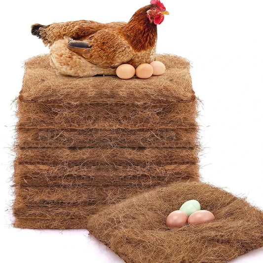 5/10pcs Chicken Coop Chick Bird Rabbit Mat - ProPawPet.com