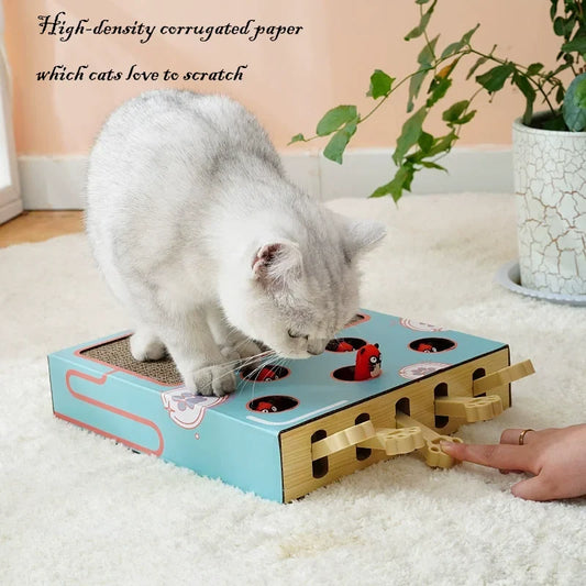 3-in-1 Interactive Cat Toy Maze Game Box - ProPawPet.com