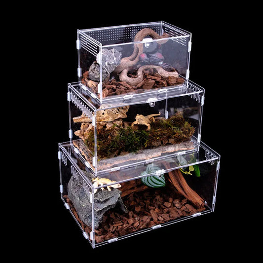 Transparent Reptile Pet Breeding Box - ProPawPet.com