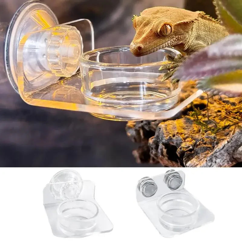 Magnetic Reptile Feeding Ledge Suction Cup - ProPawPet.com