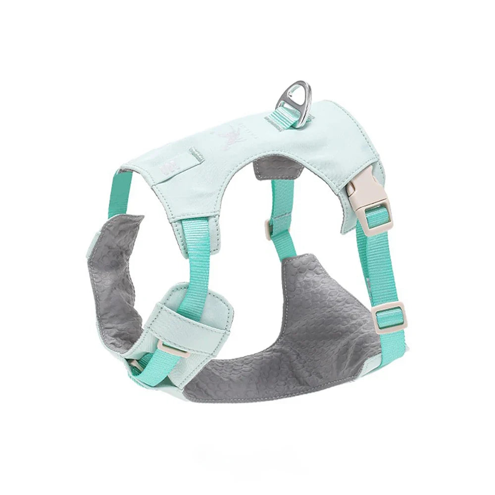 Lightweight Dog Harness & Leash Set - ProPawPet.com