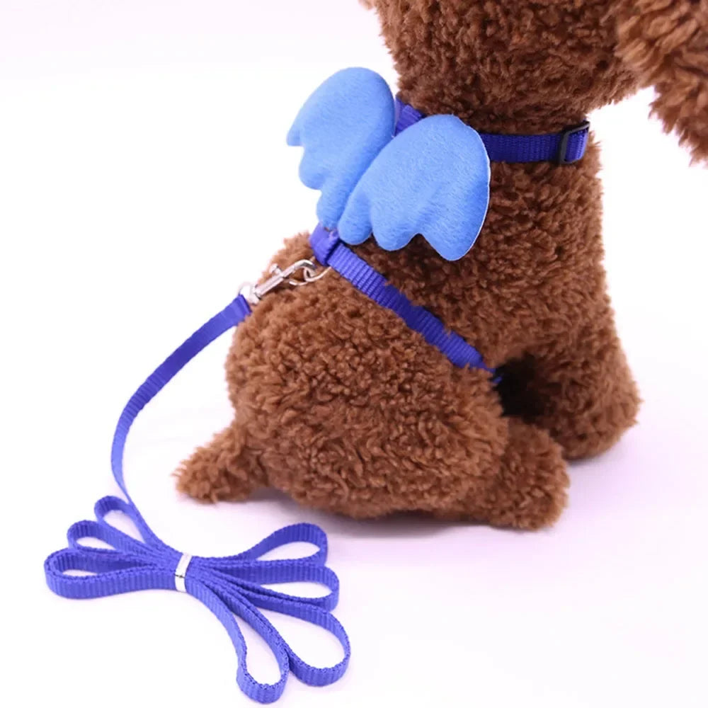 Adjustable Kitten Harness and Leash Set Cute - ProPawPet.com