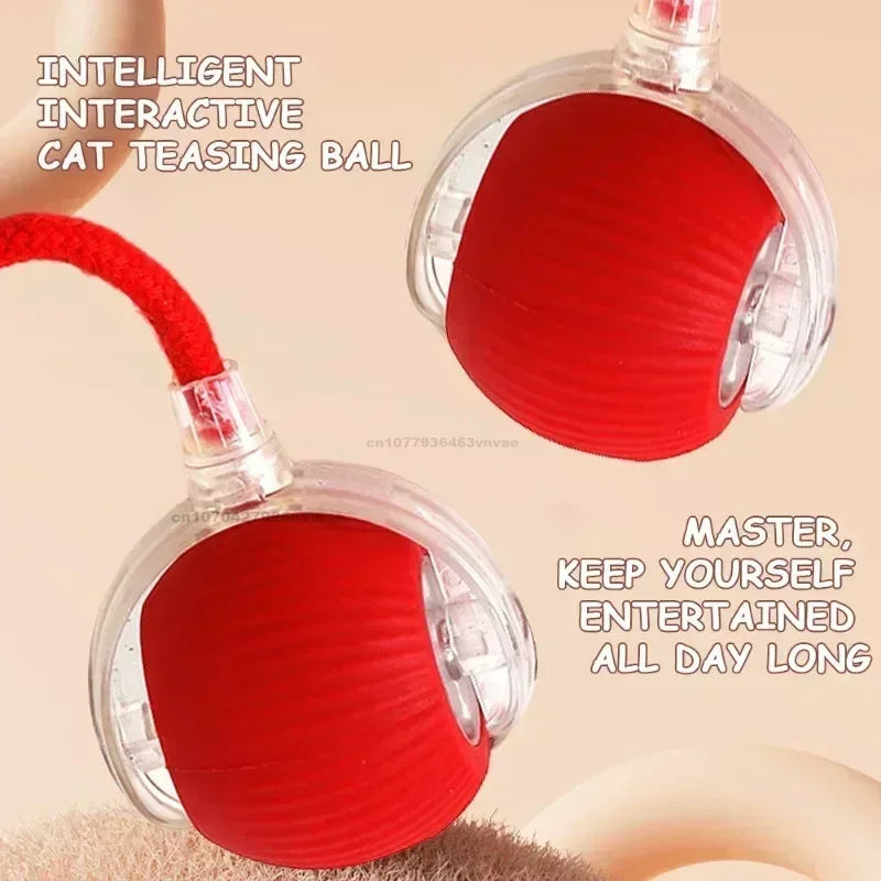 Interactive Rolling Cat Ball Dog Toy Rolling - ProPawPet.com