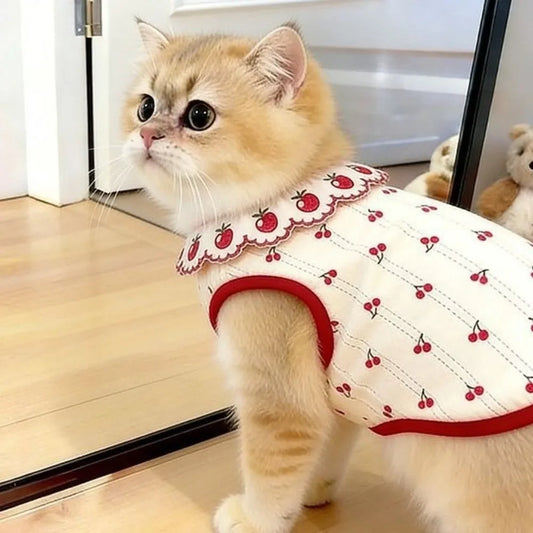Fashion Ruffled Collar Cat Strawberry Vest - ProPawPet.com