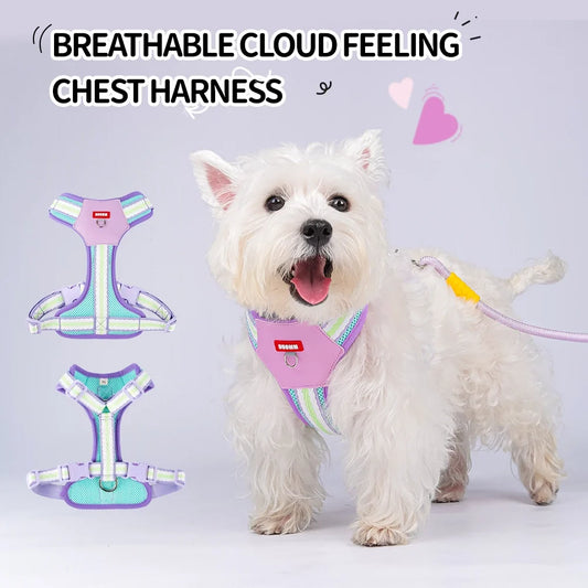 Color Block Harness for Small Dogs Walking - ProPawPet.com