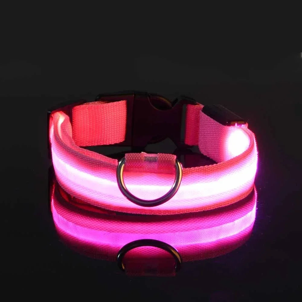 Dog Collar Nylon LED Night Safety Flashing - ProPawPet.com